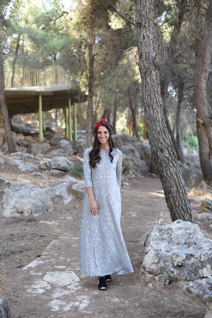 Modest Silver Maxi Dress